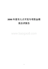 20XX年度市人才开发专项资金绩效自评报告.docx