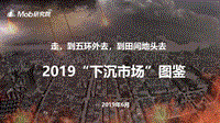 481-2-Mob研究院：2019“下沉市场”图鉴.pdf