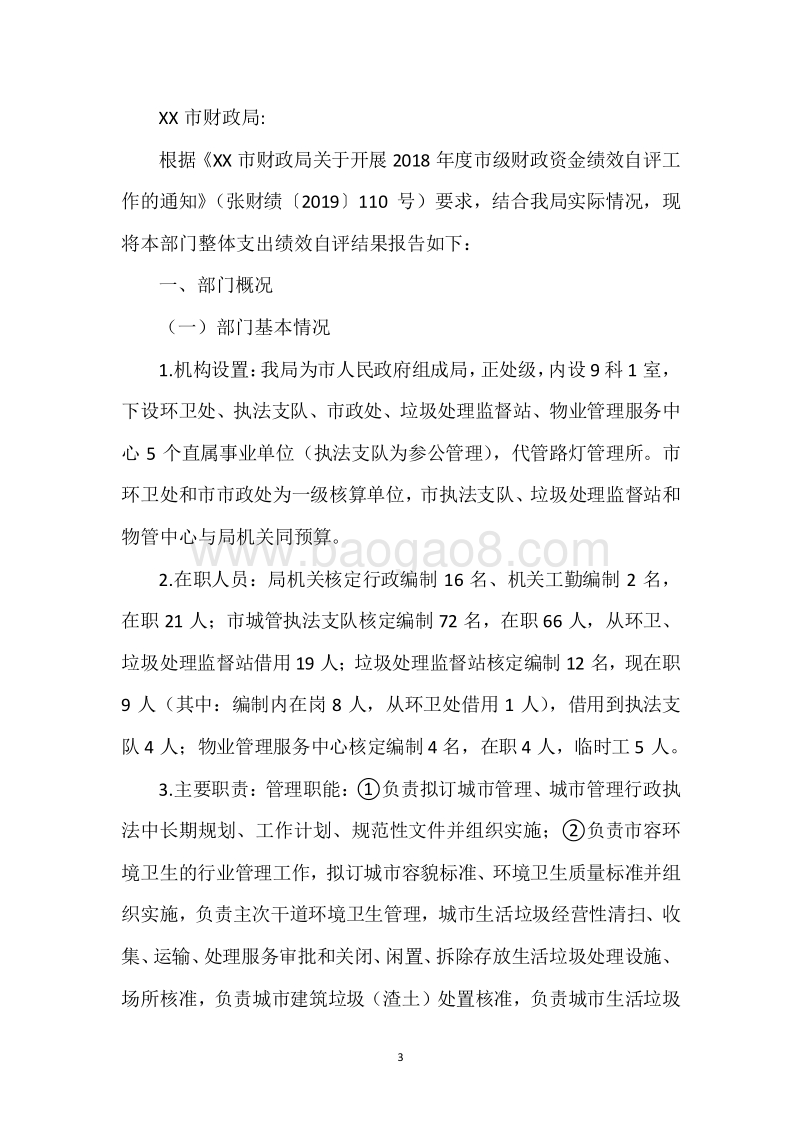 XX市城管局2018年度部门整体支出绩效自评报告.docx_第3页