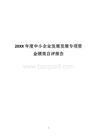 20XX年度中小企业发展发展专项资金绩效自评报告.docx