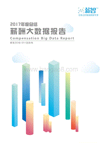 2017年度薪酬大数据报告.pdf