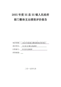 20XX年度XX县XX镇人民政府部门整体支出绩效评价报告.docx