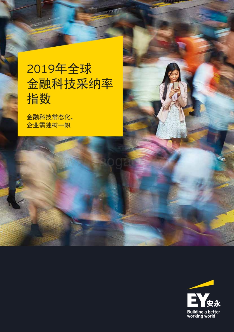 2019年全球金融科技采纳率指数.pdf_第1页
