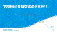 481-10-易观：下沉市场消费者网购趋势洞察2019.pdf