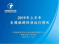 2019年上半年全国旅游经济运行情况.pdf