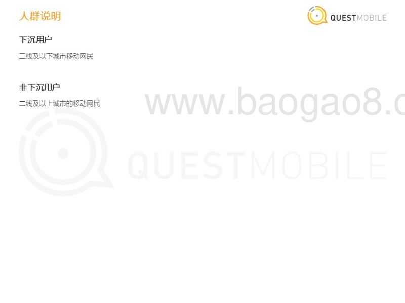 481-3-QuestMobile下沉市场报告.pdf_第4页