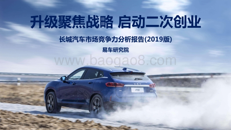 2019版长城汽车市场竞争力分析报告.pdf_第1页