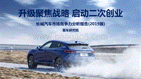 2019版长城汽车市场竞争力分析报告.pdf