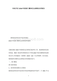 市经开区2018年度部门整体支出绩效自评报告.docx