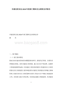 市建设质安处2018年度部门整体支出绩效自评报告.docx