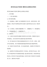 团市委2018年度部门整体支出绩效自评报告.docx