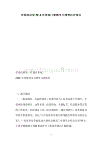 市委政研室2018年度部门整体支出绩效自评报告.docx
