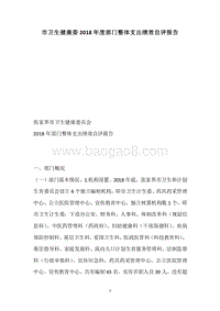 市卫生健康委2018年度部门整体支出绩效自评报告.docx
