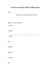市统计局2018年度部门整体支出绩效自评报告.docx