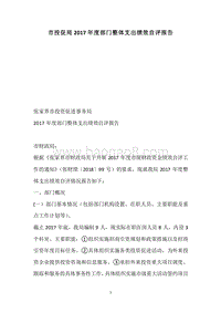 市投促局2017年度部门整体支出绩效自评报告.docx