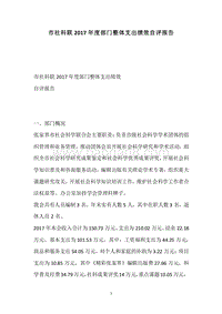 市社科联2017年度部门整体支出绩效自评报告.docx