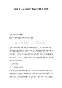 市就业局2018年度部门整体支出绩效自评报告.docx