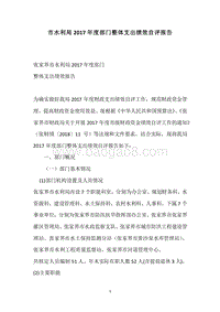 市水利局2017年度部门整体支出绩效自评报告.docx