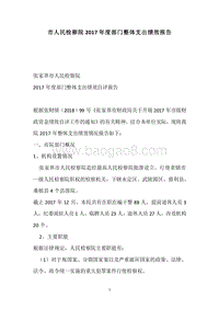 市人民检察院2017年度部门整体支出绩效报告.docx