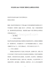市民政局2017年度部门整体支出绩效自评报告.docx