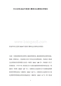 市文化馆2018年度部门整体支出绩效自评报告.docx