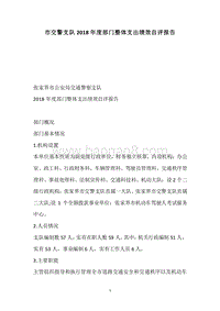 市交警支队2018年度部门整体支出绩效自评报告.docx