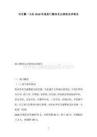 市交警一大队2018年度部门整体支出绩效自评报告.docx