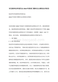 市发展和改革委员会2018年度部门整体支出绩效自评报告.docx