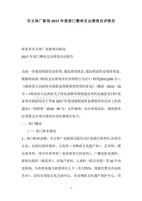 市文体广新局2017年度部门整体支出绩效自评报告.docx
