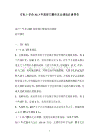 市红十字会2017年度部门整体支出绩效自评报告.docx