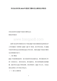 市农业农村局2018年度部门整体支出绩效自评报告.docx