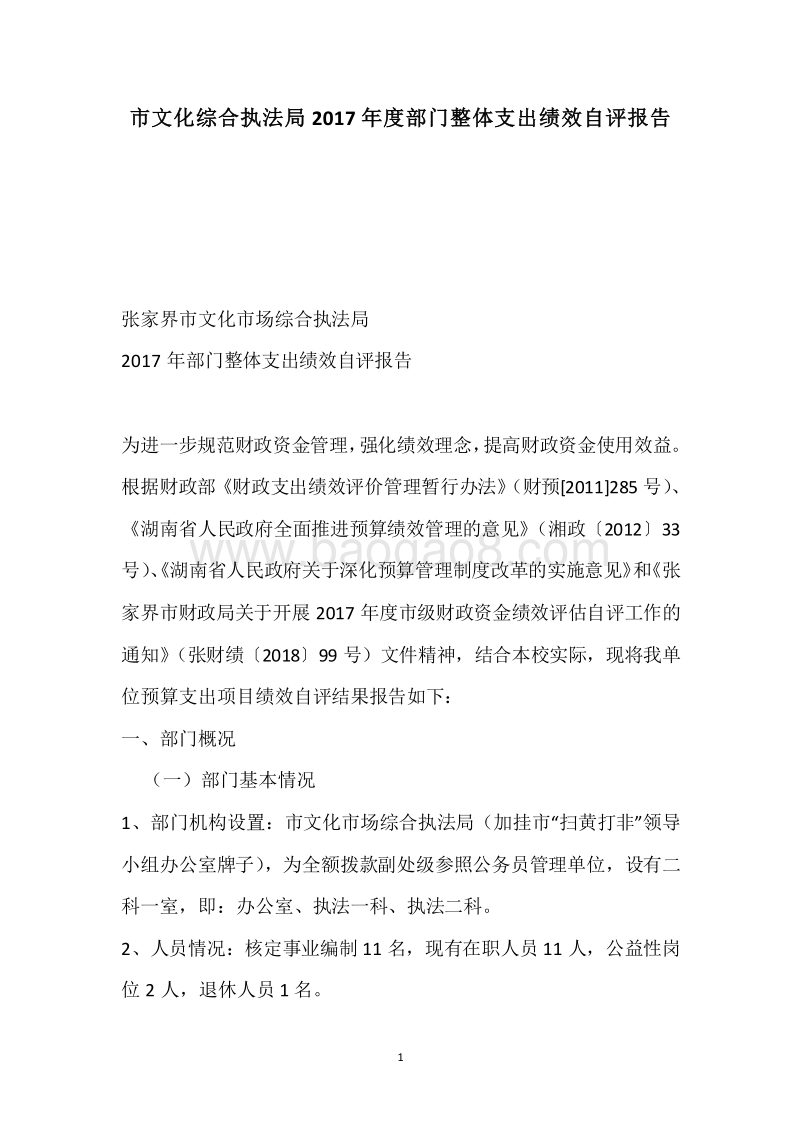 市文化综合执法局2017年度部门整体支出绩效自评报告.docx_第1页