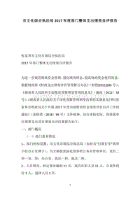 市文化综合执法局2017年度部门整体支出绩效自评报告.docx