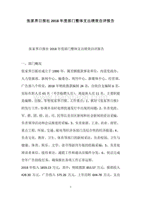 张家界日报社2018年度部门整体支出绩效自评报告.docx
