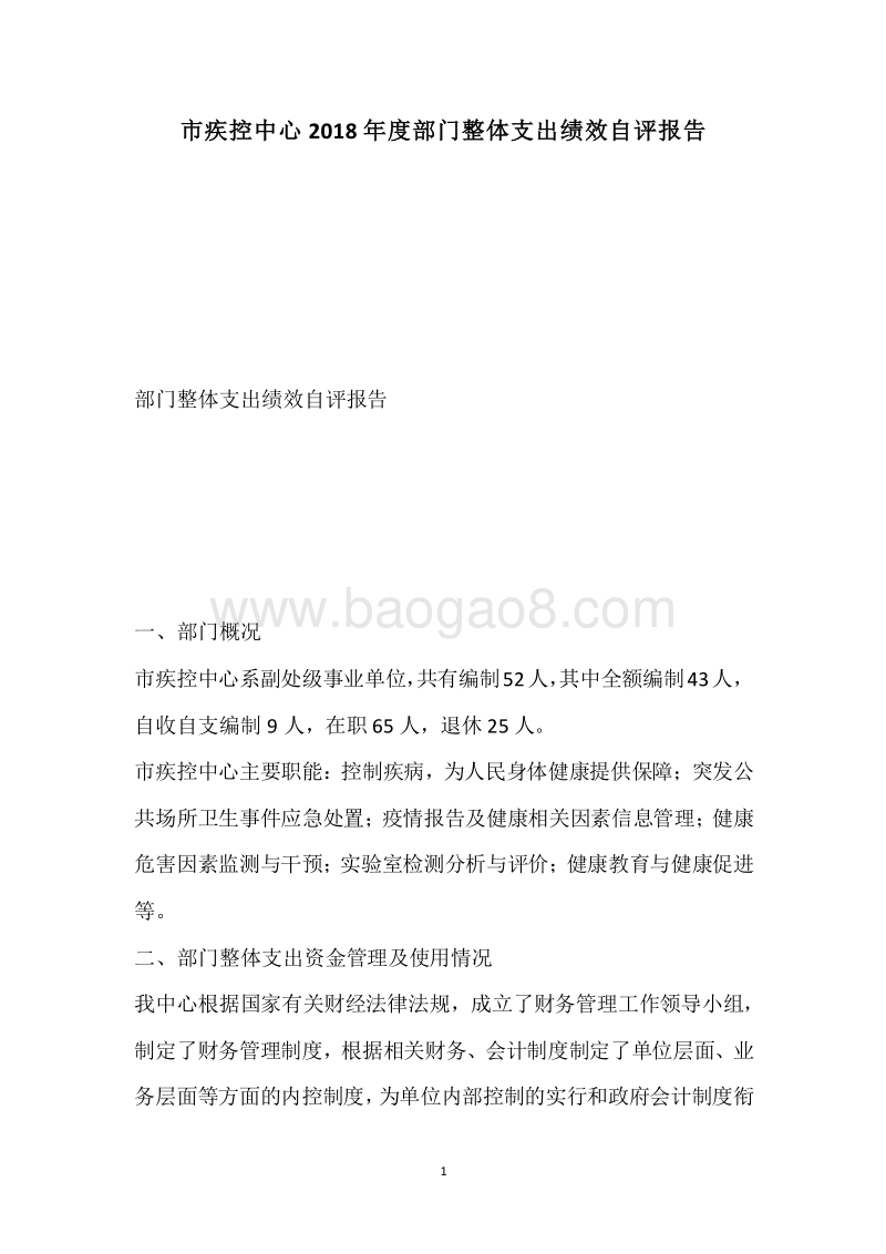 市疾控中心2018年度部门整体支出绩效自评报告.docx_第1页