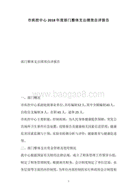 市疾控中心2018年度部门整体支出绩效自评报告.docx