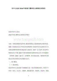 市中心血站2018年度部门整体支出绩效自评报告.docx