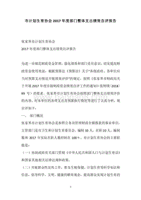 市计划生育协会2017年度部门整体支出绩效自评报告.docx