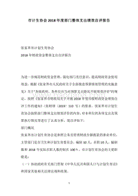 市计生协会2018年度部门整体支出绩效自评报告.docx