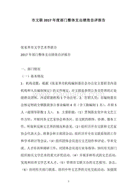 市文联2017年度部门整体支出绩效自评报告.docx