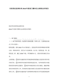 市投资促进事务局2018年度部门整体支出绩效自评报告.docx