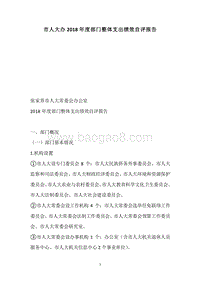 市人大办2018年度部门整体支出绩效自评报告.docx
