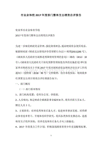 市业余体校2017年度部门整体支出绩效自评报告.docx