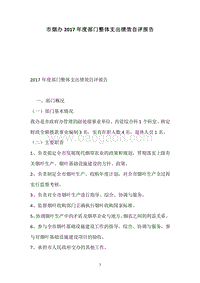 市烟办2017年度部门整体支出绩效自评报告.docx