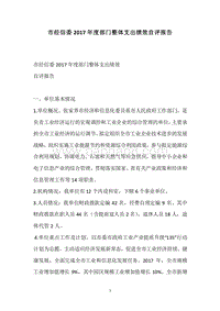 市经信委2017年度部门整体支出绩效自评报告.docx