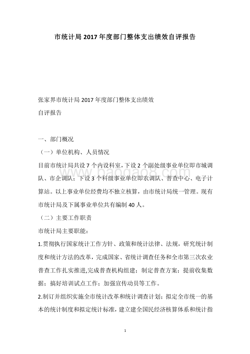 市统计局2017年度部门整体支出绩效自评报告.docx_第1页