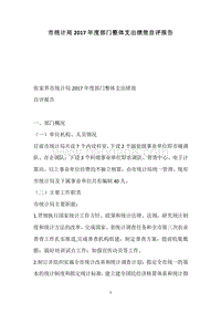 市统计局2017年度部门整体支出绩效自评报告.docx