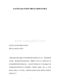 市水利局2018年度部门整体支出绩效自评报告.docx