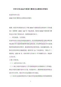 市审计局2018年度部门整体支出绩效自评报告.docx