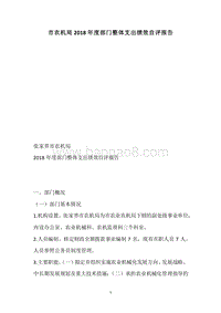 市农机局2018年度部门整体支出绩效自评报告.docx